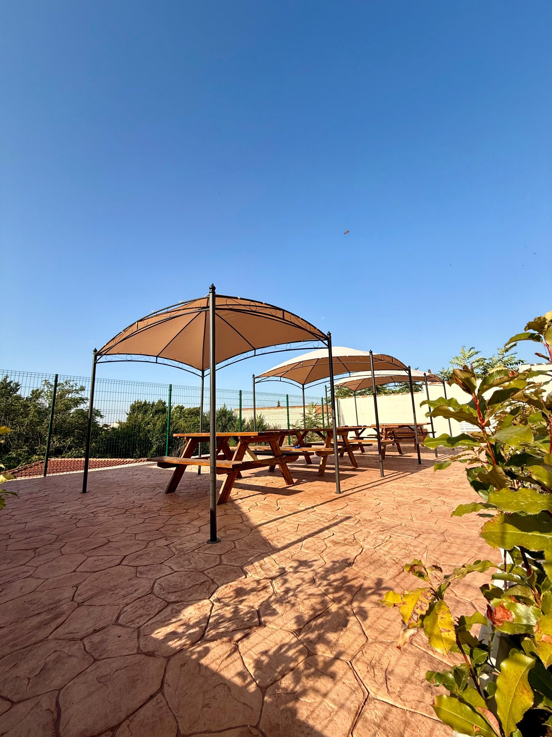 WhatsApp Image 2025-06-17 at 10.53.14